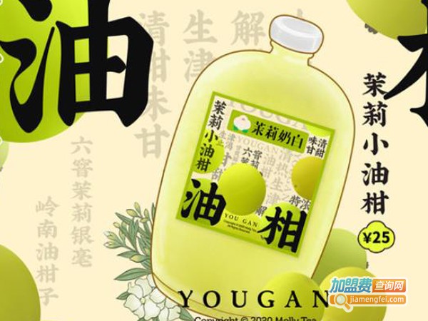 茉莉奶白奶茶加盟费用