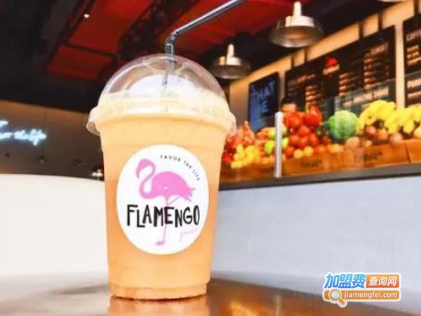 flamengo juice火鸟果汁加盟费用