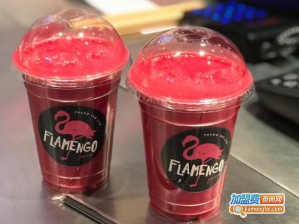 flamengo juice火鸟果汁加盟费用