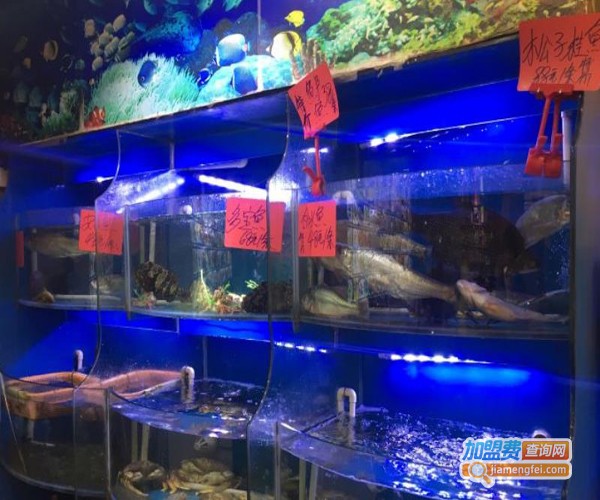 小杨海鲜馆加盟费用
