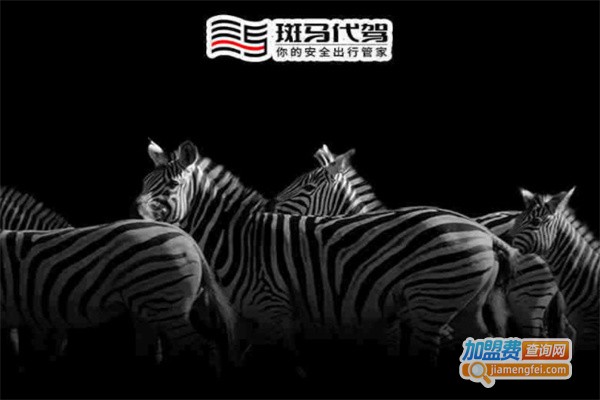 斑马代驾加盟费用