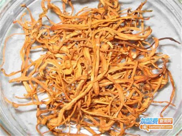 华夏种植金虫草加盟费