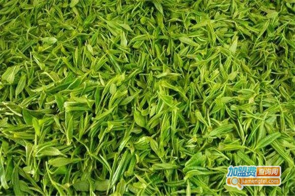 信阳五云茶叶加盟费