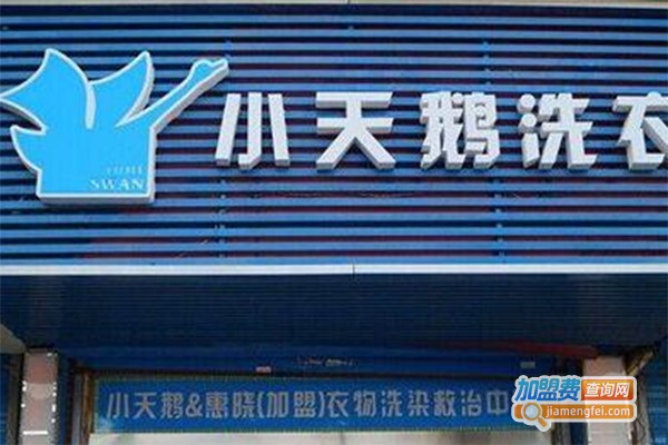 小天鹅干洗店加盟费