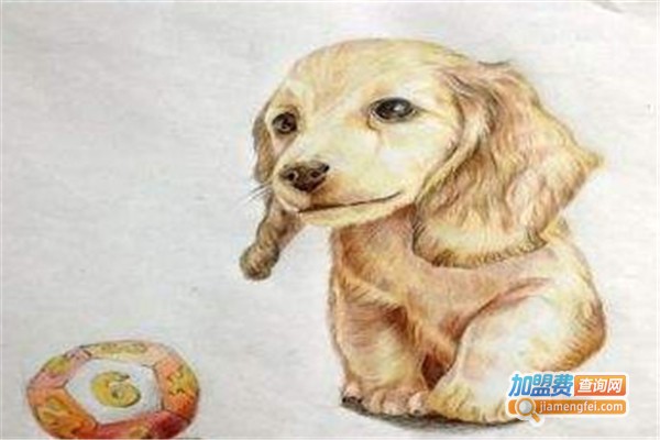 三毛画室加盟费