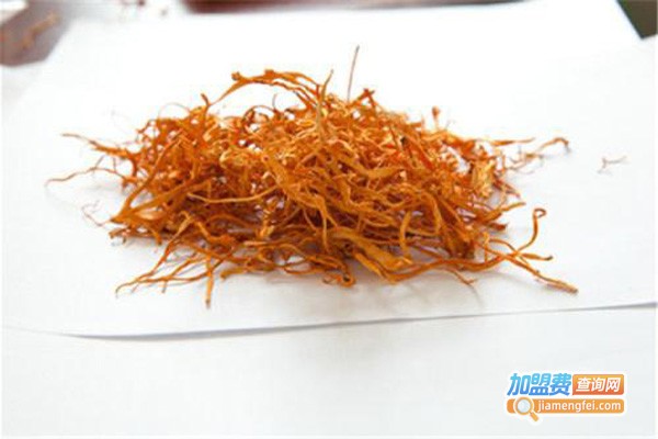 藏蛹虫草加盟费