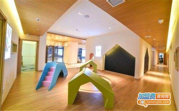 金马驹全脑早教加盟费