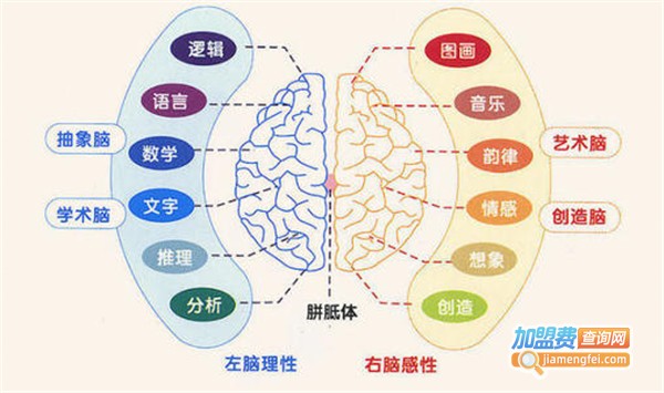 非同凡响右脑开发加盟费