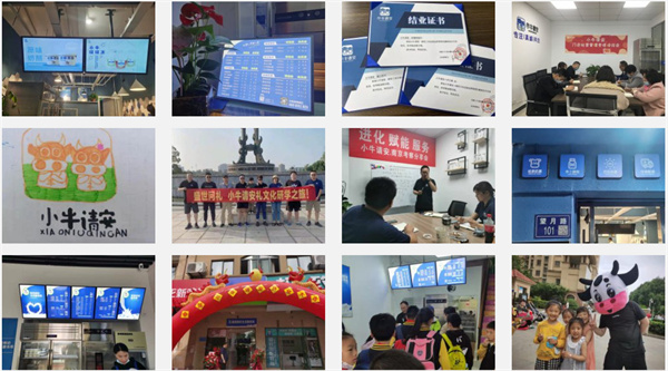 小牛请安鲜奶加盟费用