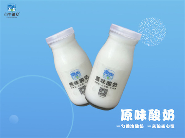 小牛请安鲜奶加盟费用