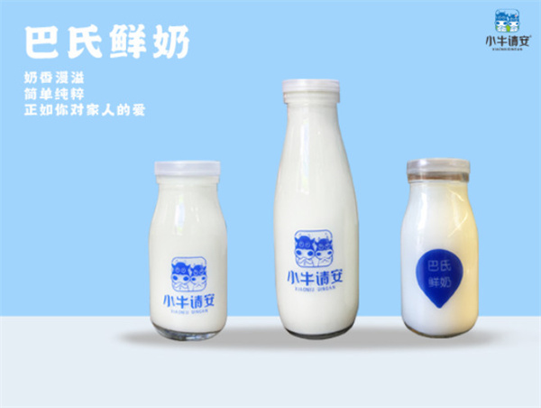 小牛请安鲜奶加盟费用