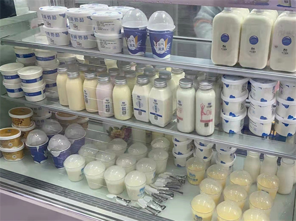 小牛请安鲜奶加盟费用