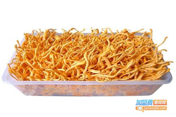 华科6号北虫草加盟费