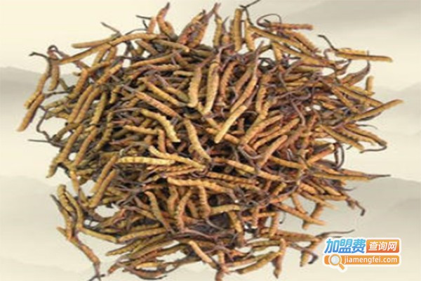 5A虫草加盟费