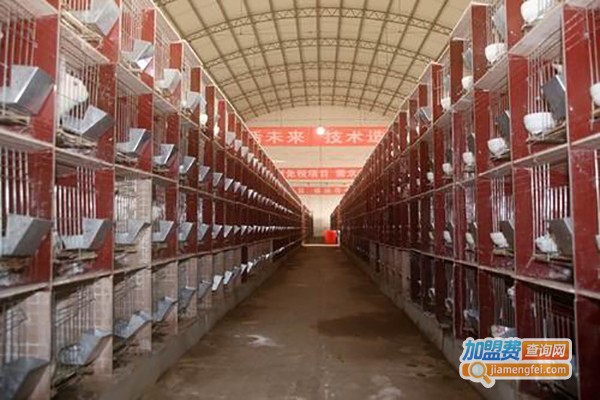 盛运养殖加盟费