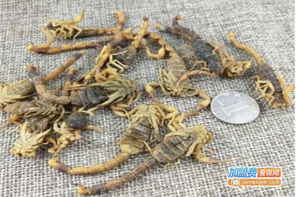 农邦蝎子养殖加盟费
