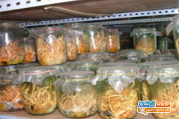 世纪宏锦黄金虫草加盟费