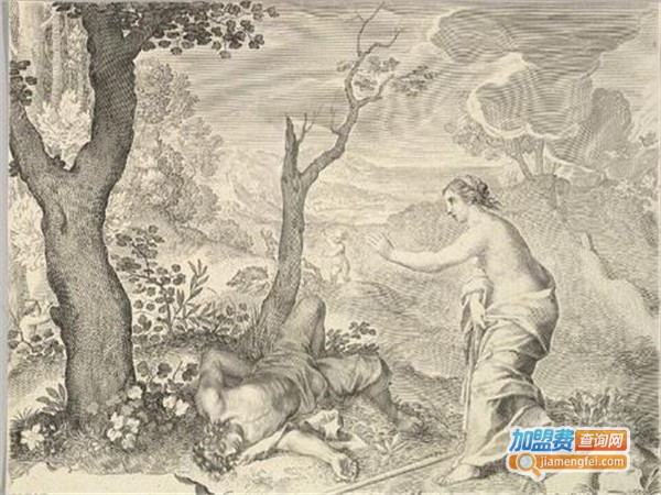 铜版画加盟费
