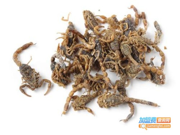 金丰全蝎加盟费