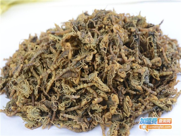 金丰全蝎加盟费