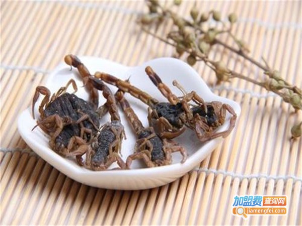 金丰全蝎加盟费