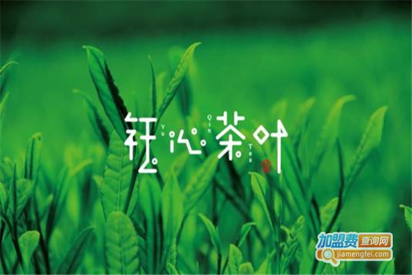 钰桐香茶叶加盟费
