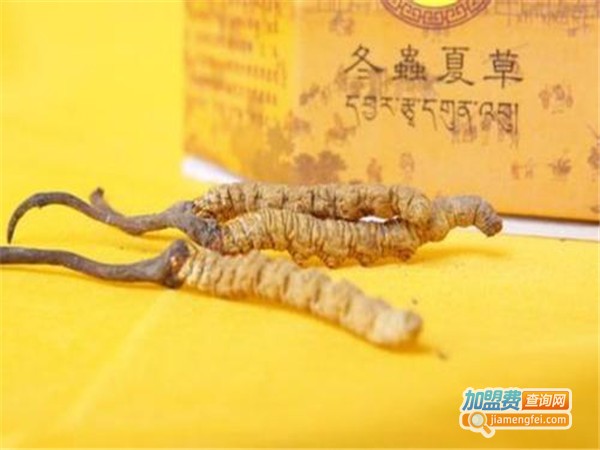 金叶北虫草加盟费
