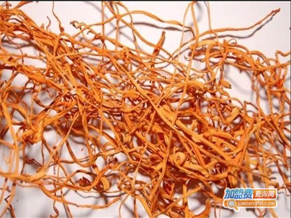 金叶北虫草加盟费