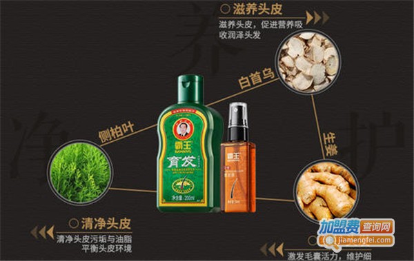 霸王洗头水加盟费