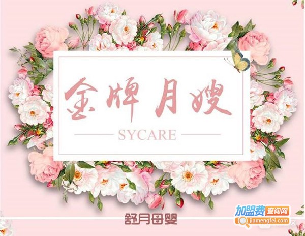 舒月加盟费