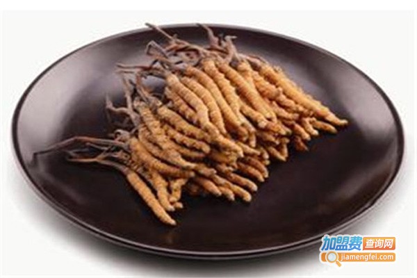 元凯冬虫夏草加盟费