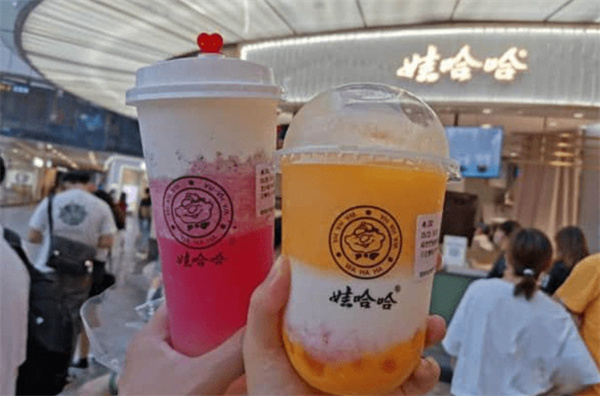娃哈哈奶茶加盟费用
