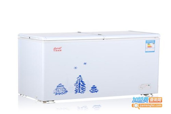 白雪冰柜加盟费