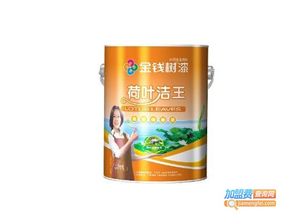 金钱树漆加盟费