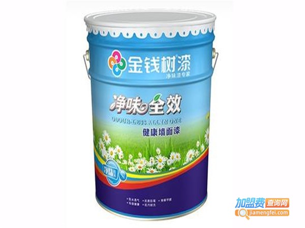 金钱树漆加盟费
