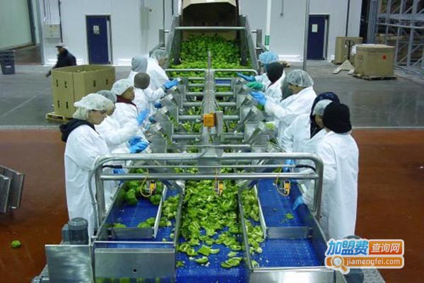 金阳食品机械加盟费