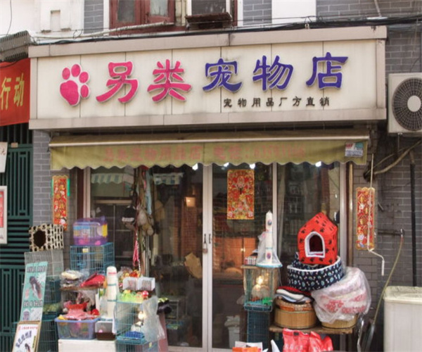 另类宠物店加盟费用