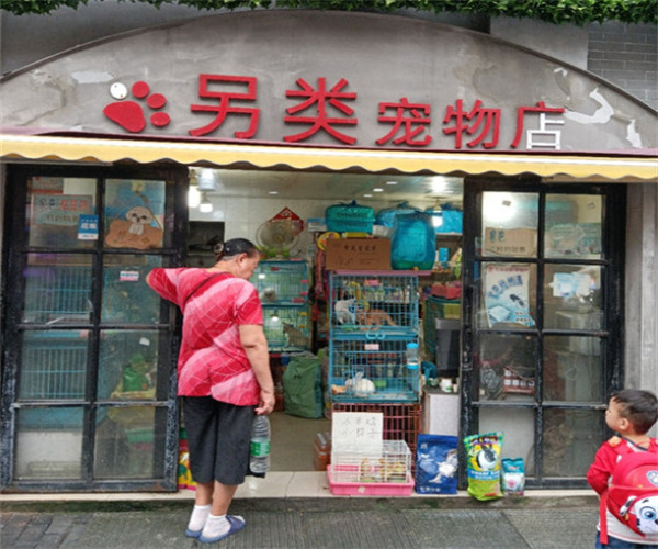 另类宠物店加盟费用