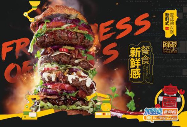 麦兹德加盟费