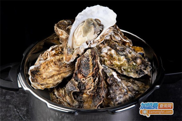 海阿婆海鲜酒馆加盟费