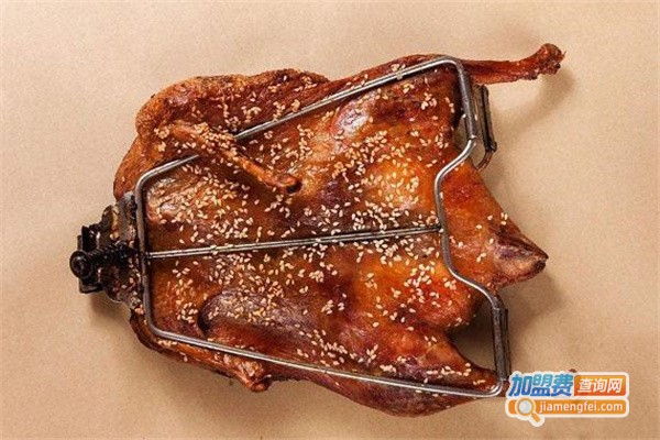 抱走鸭铁板火焰鸭加盟费