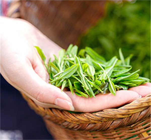 和気桃桃奶茶加盟费用