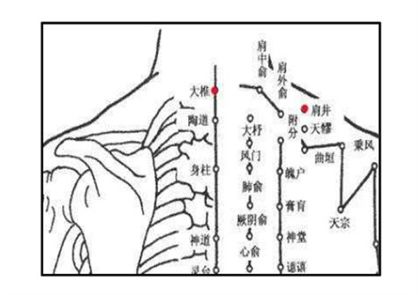 百岁葫芦艾灸养生加盟费用