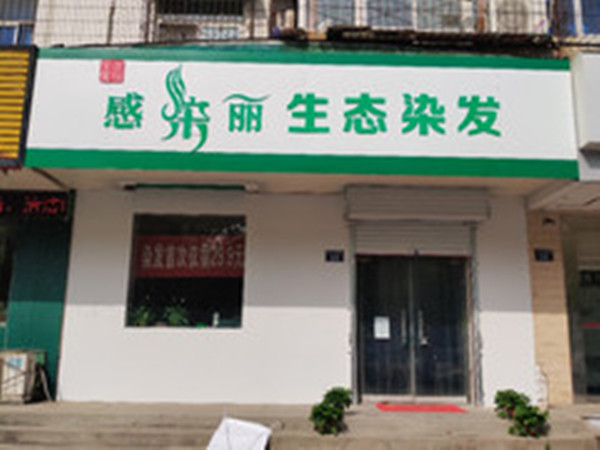 感染丽生态染发加盟费用
