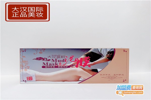 大汉蓝妍加盟费