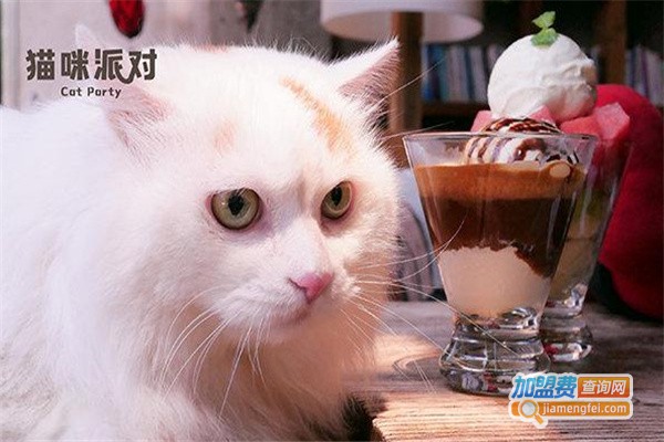 猫咪派对加盟费