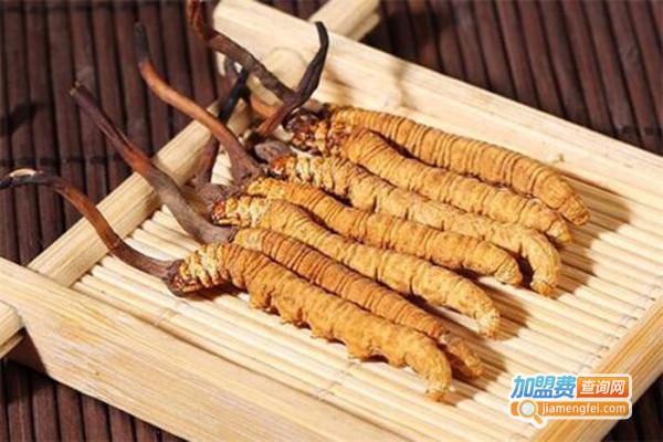 金华虫草加盟费