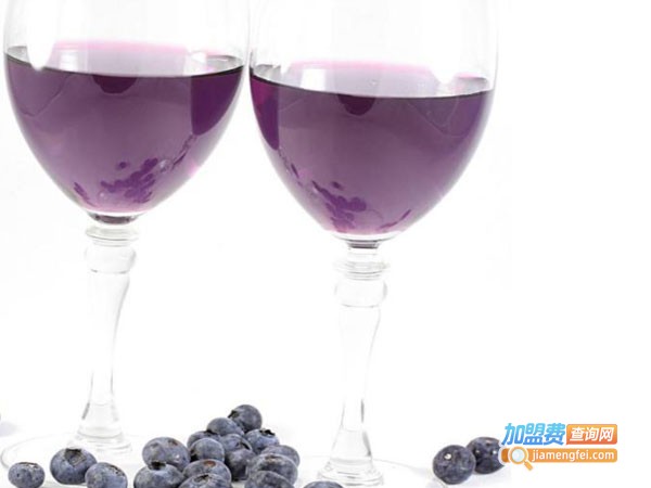 北极冰蓝莓酒庄加盟费