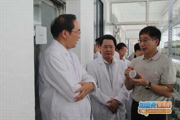 华夏本草铁皮石斛加盟费