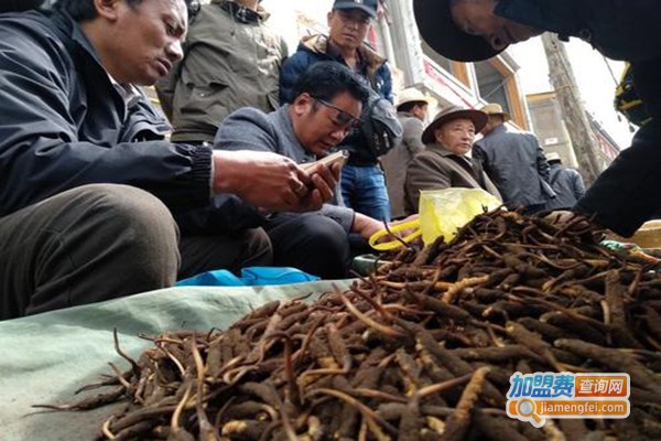 欣韵虫草加盟费